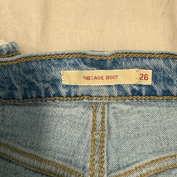 Levi - Ribcage - Picture 4 of 5